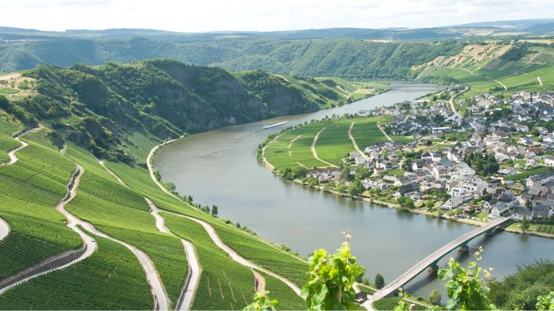 Vùng làm vang Mosel