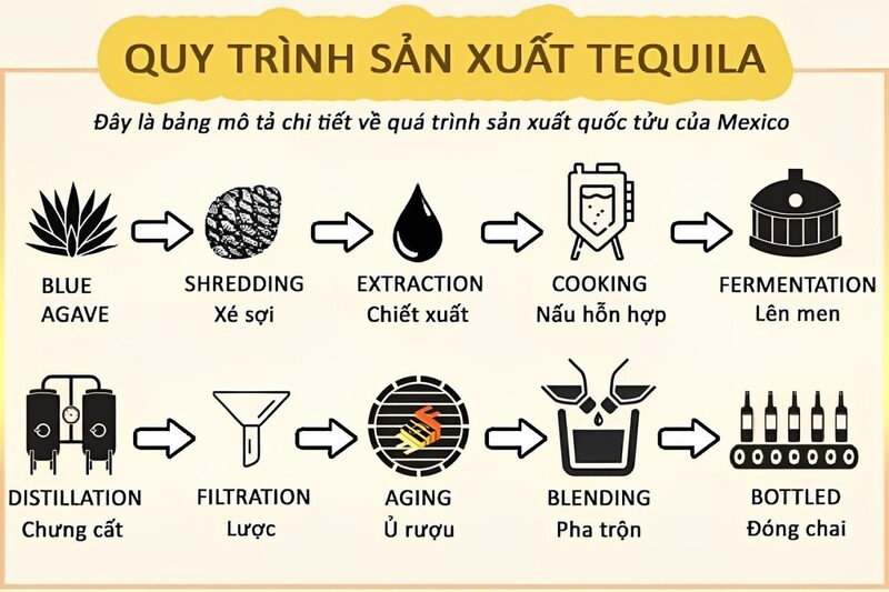 Quy trình sản xuất rượu Tequila