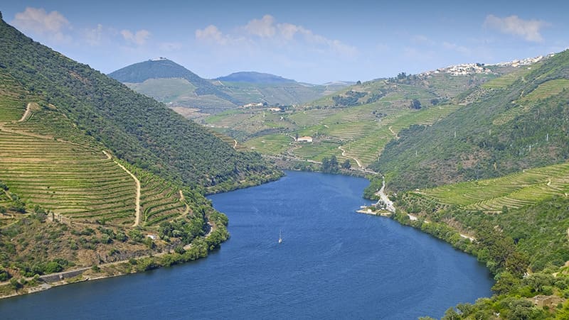 vùng làm vang douro