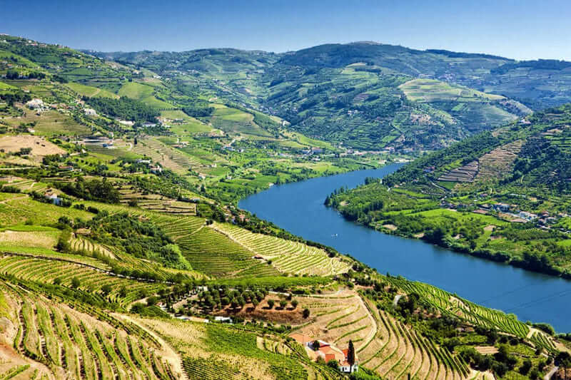 Vùng làm vang Douro