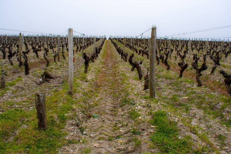 Vùng làm vang Listrac-Médoc