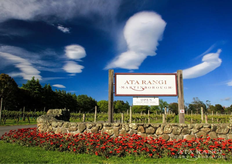 Nhà sản xuất vang Ata Rangi danh tiếng ở Martinborough