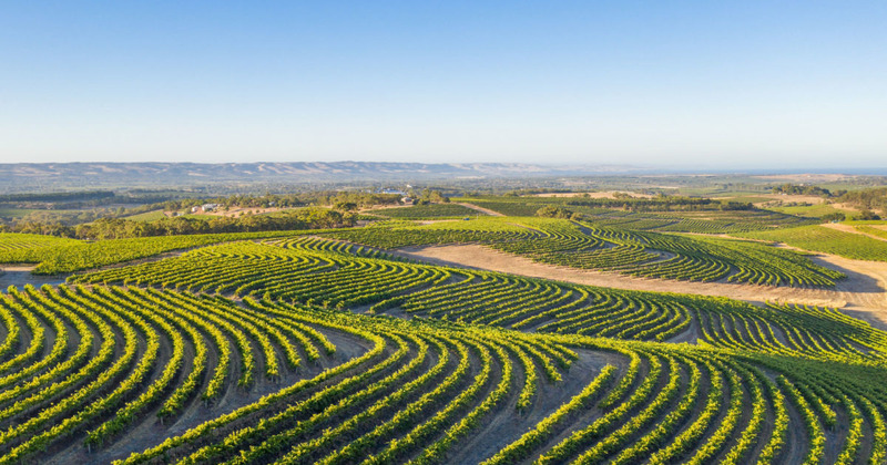 Vùng rượu vang McLaren Vale