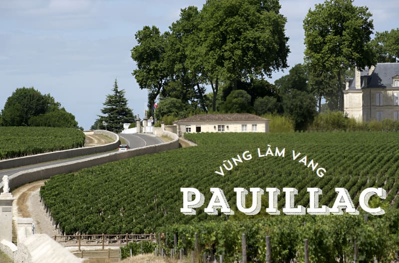 vùng làm vang pauillac