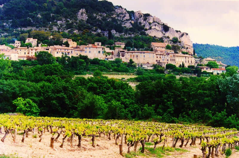 vùng làm vang rhone valley