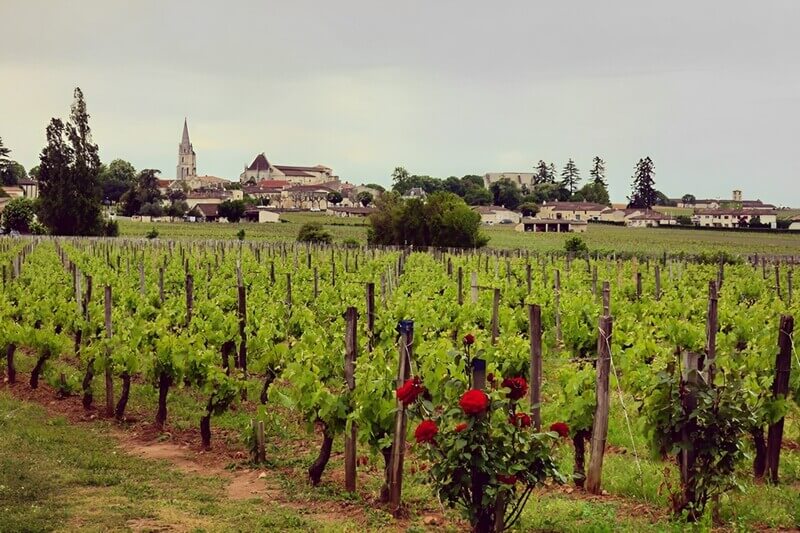 Đặc điểm khí hậu và địa lý của vùng rượu vang Saint-Emilion