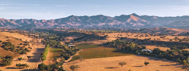 Tiểu vùng Santa Maria Valley