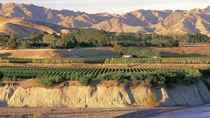 vùng rượu vang marlborough