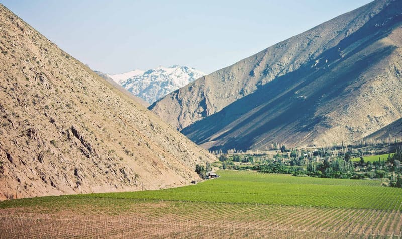 Các tiểu vùng rượu vang Maule Valley