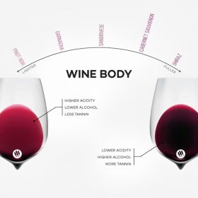 wine body là gì