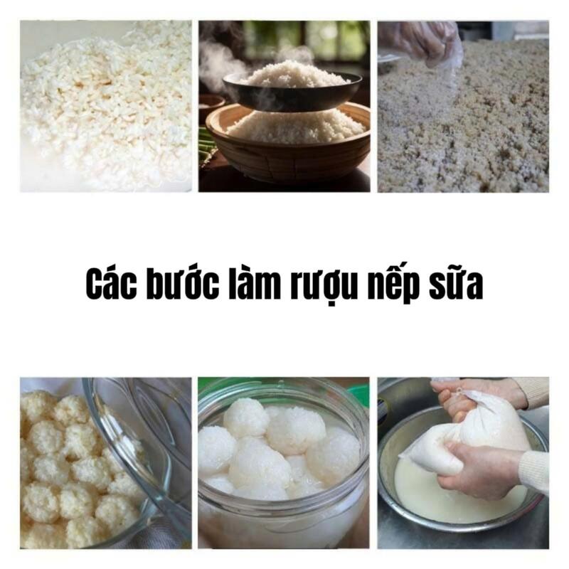 Các bước làm rượu nếp sữa