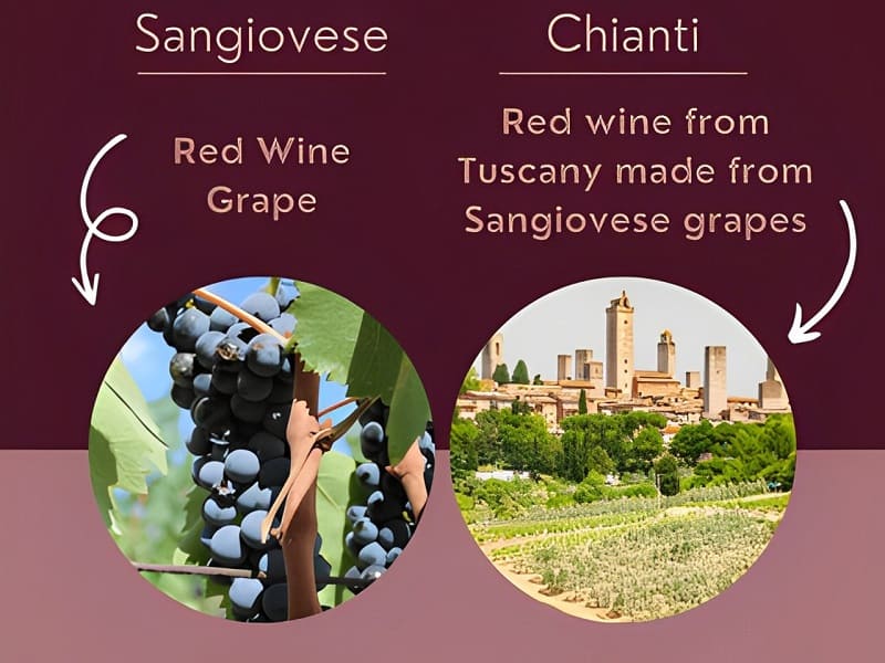 rượu vang sangiovese và chianti