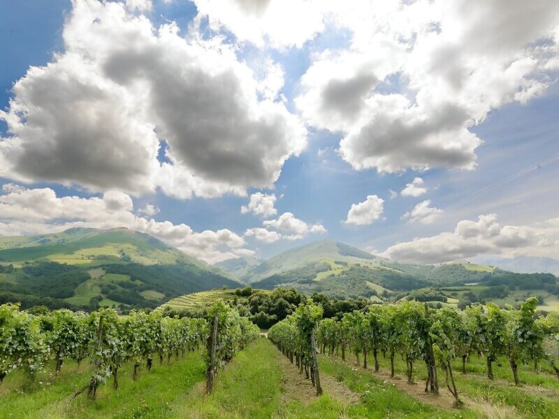 vùng làm vang cotes de gascogne