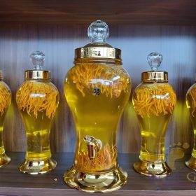 cách ngâm rượu đông trùng hạ thảo