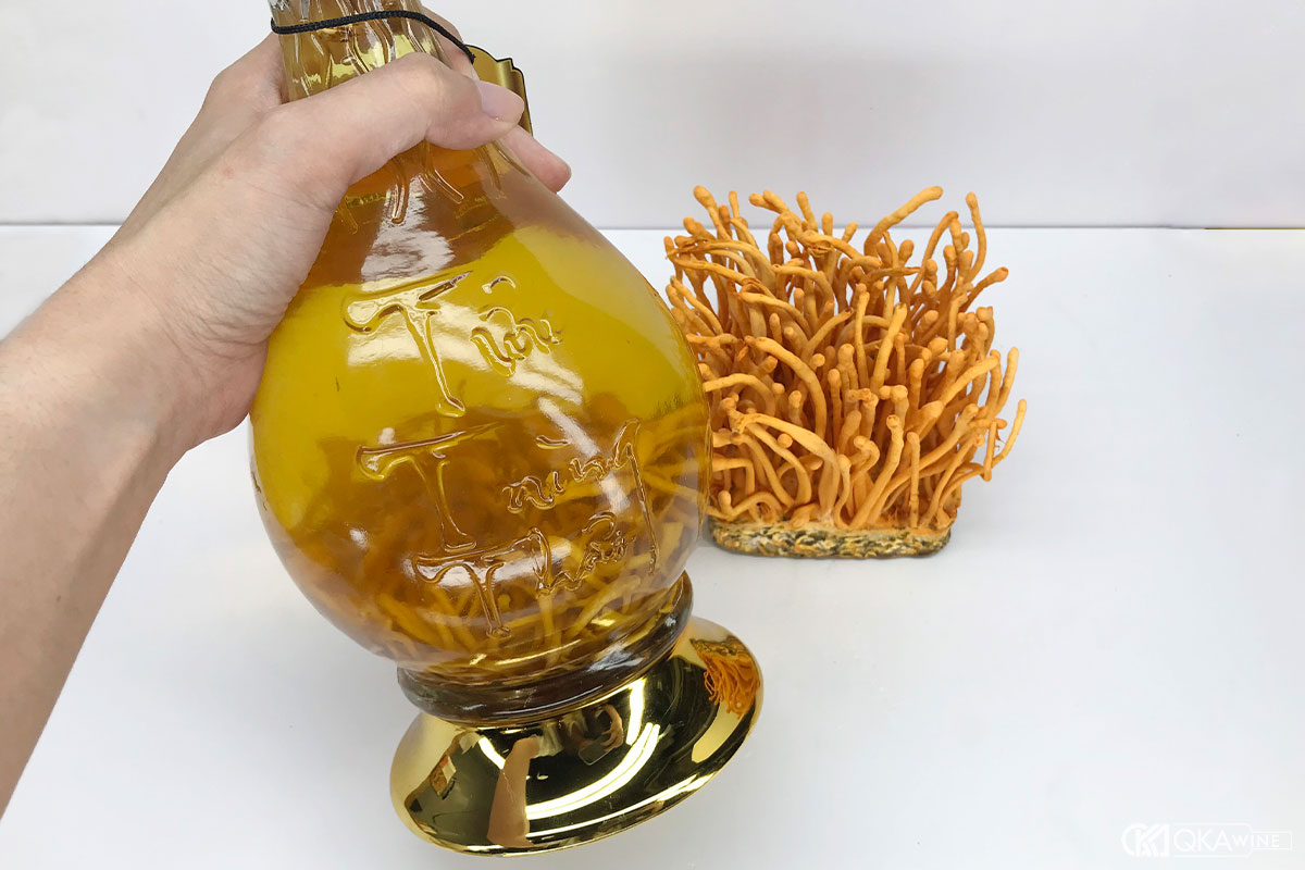 Cách ngâm rượu đông trùng hạ thảo khô