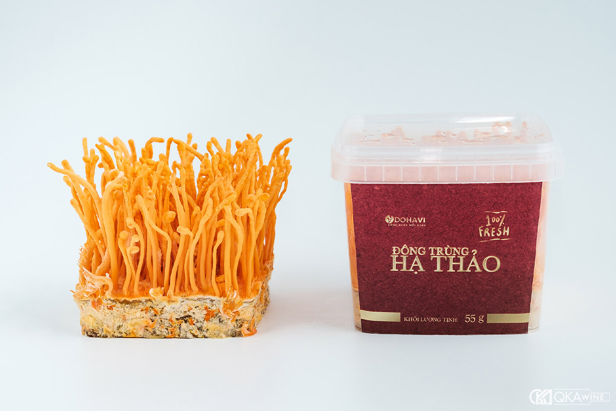 Cách ngâm rượu đông trùng hạ thảo tươi