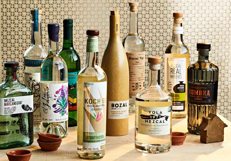 Các dòng rượu Mezcal