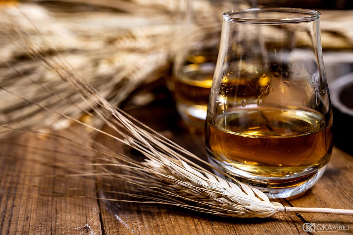Các giống lúa mạch phổ biến dùng trong sản xuất rượu whisky