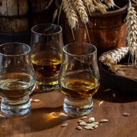 Các loại lúa mạch làm rượu whisky