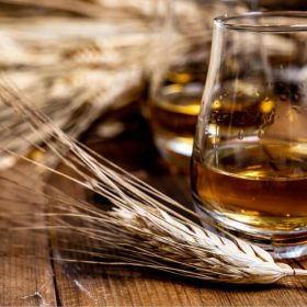 các loại lúa mạch làm rượu whisky