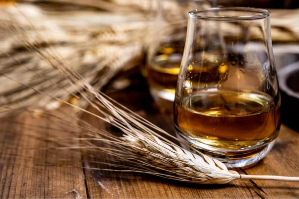 các loại lúa mạch làm rượu whisky