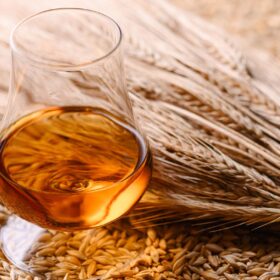 Các loại ngũ cốc sử dụng trong sản xuất rượu whisky