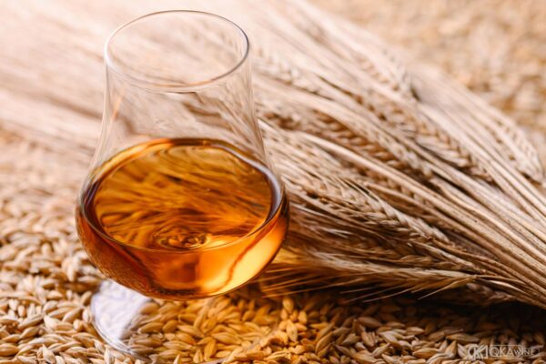 Các loại ngũ cốc sử dụng trong sản xuất rượu whisky