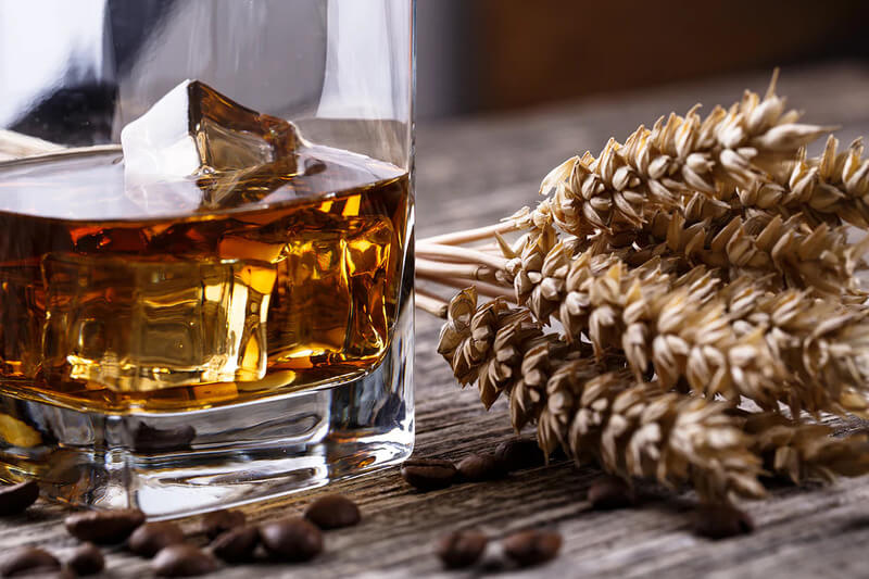 Lúa mạch đen làm rượu whisky