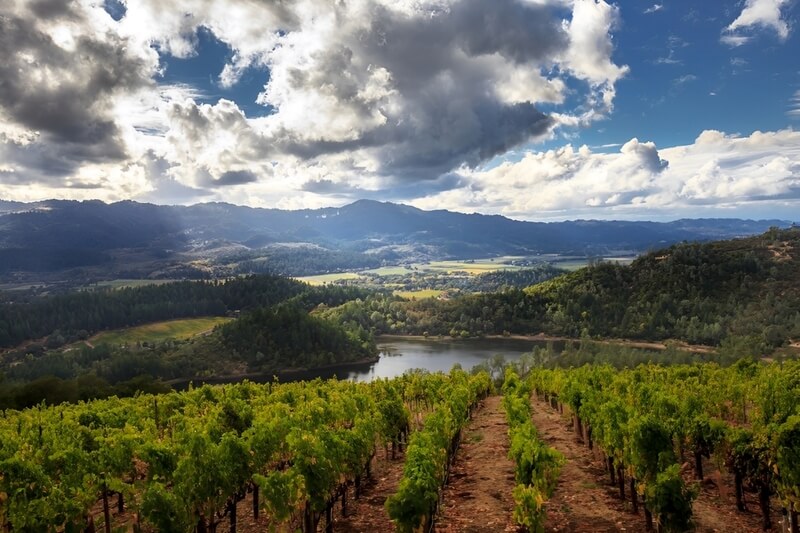 vùng napa county