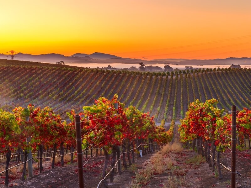 Vùng Napa County
