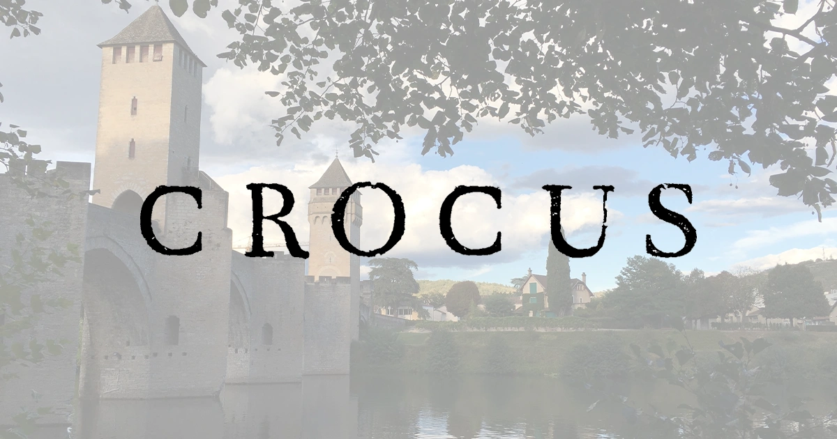 Crocus