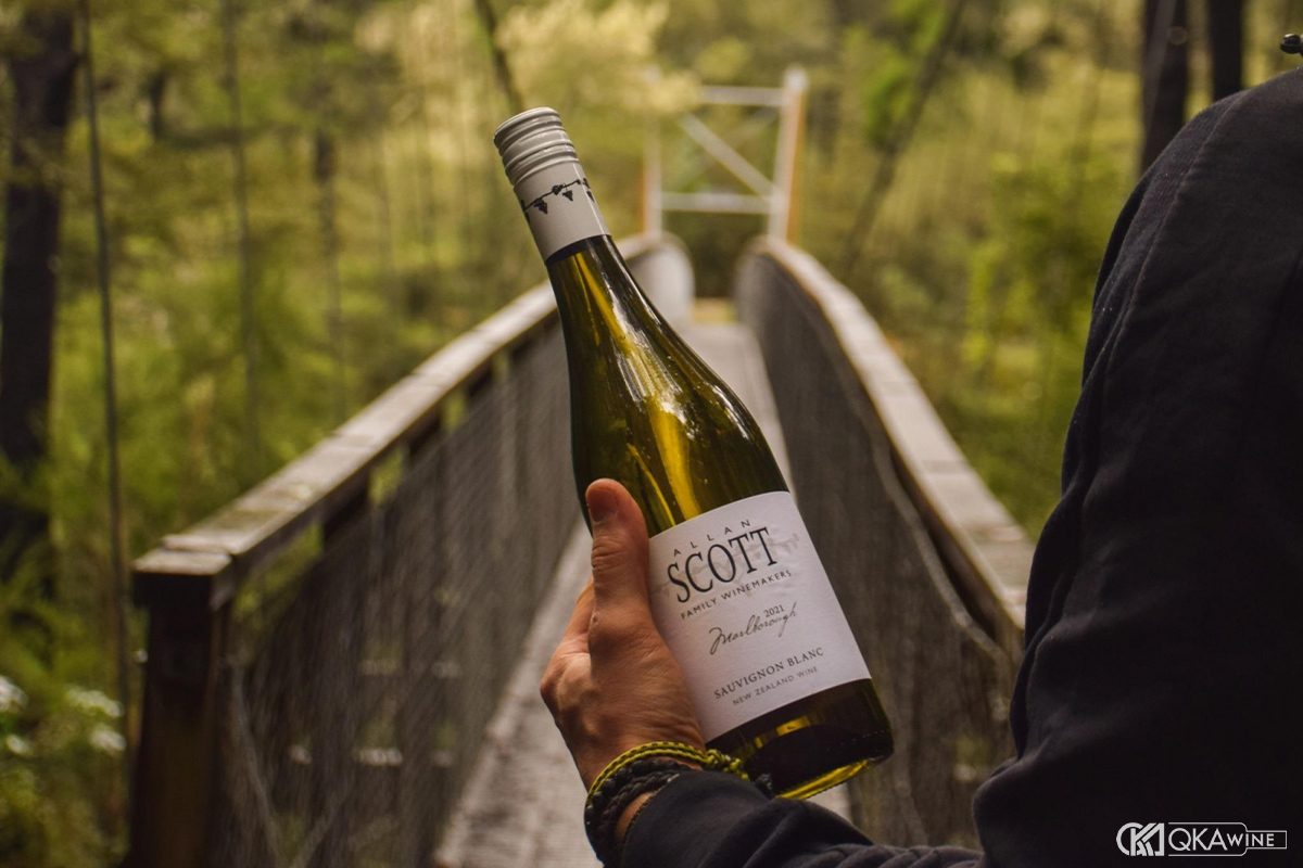 Allan Scott Sauvignon Blanc