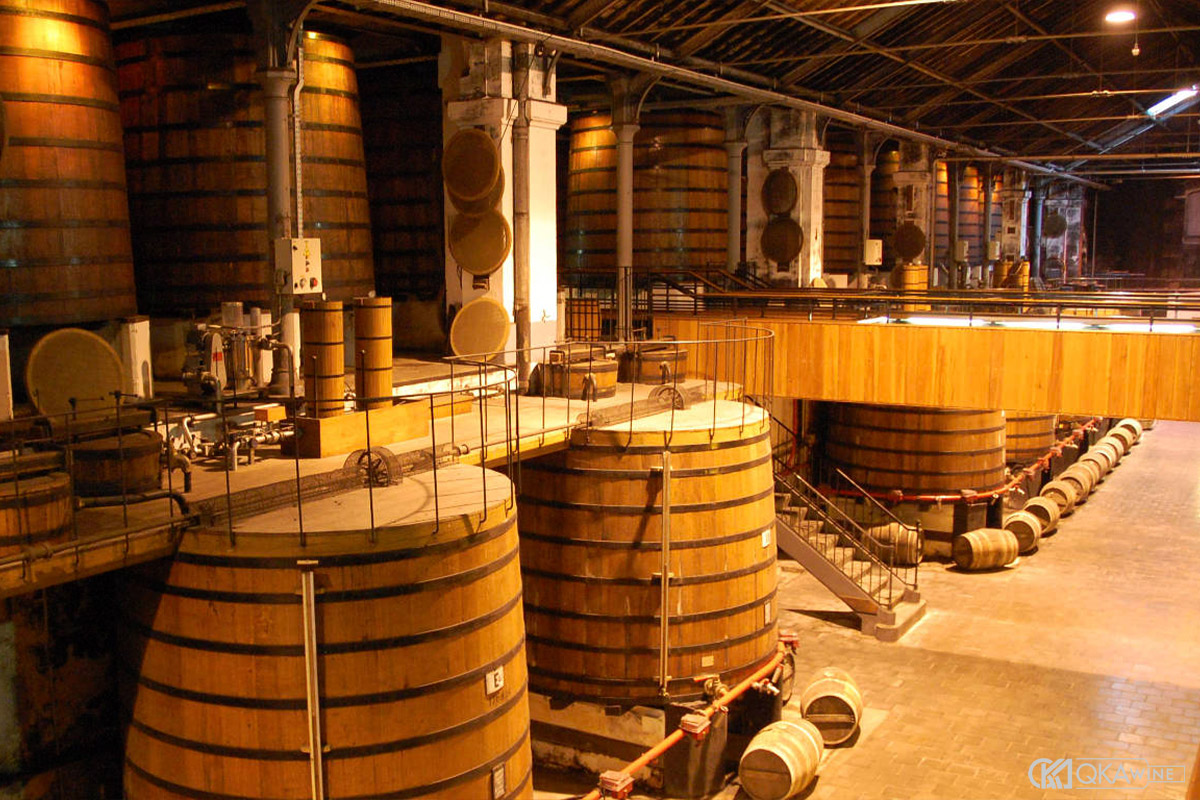 Quy trình sản xuất rượu Cognac