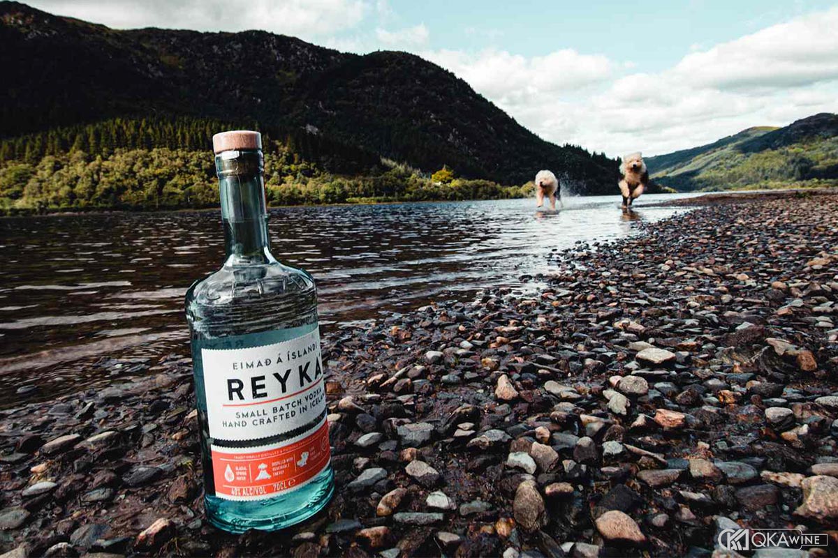 Vodka Iceland