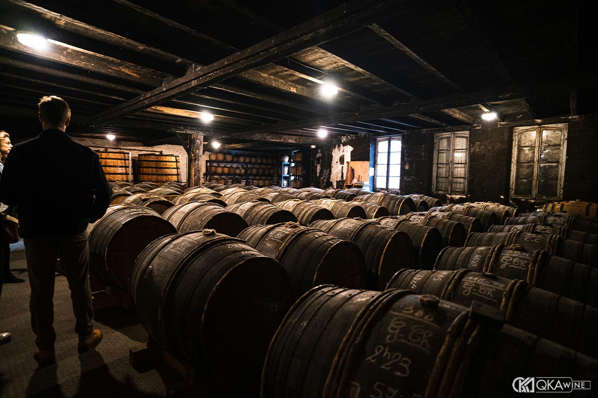 Ảnh hưởng terroir đến hương vị Cognac