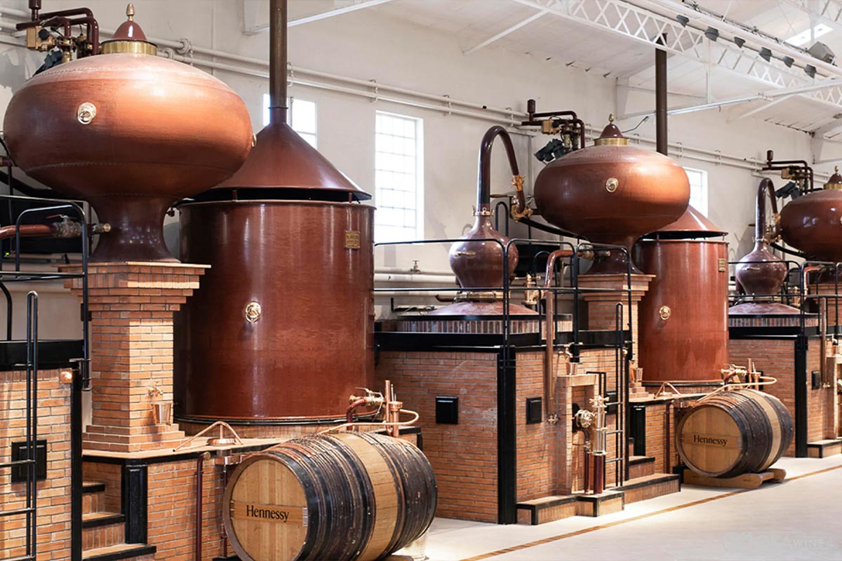 Những thương hiệu Cognac và nghệ thuật chưng cất Charentais