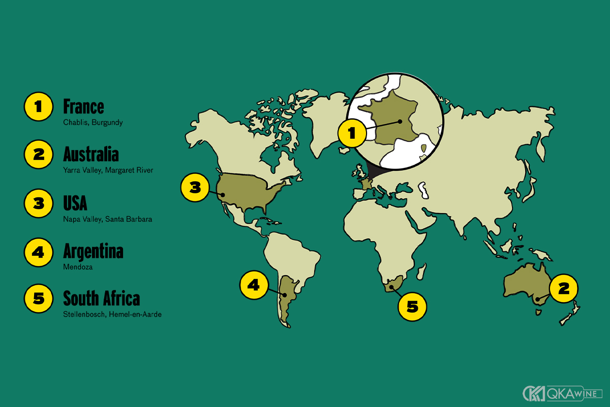 Bản đồ các vùng trồng nho Chardonnay