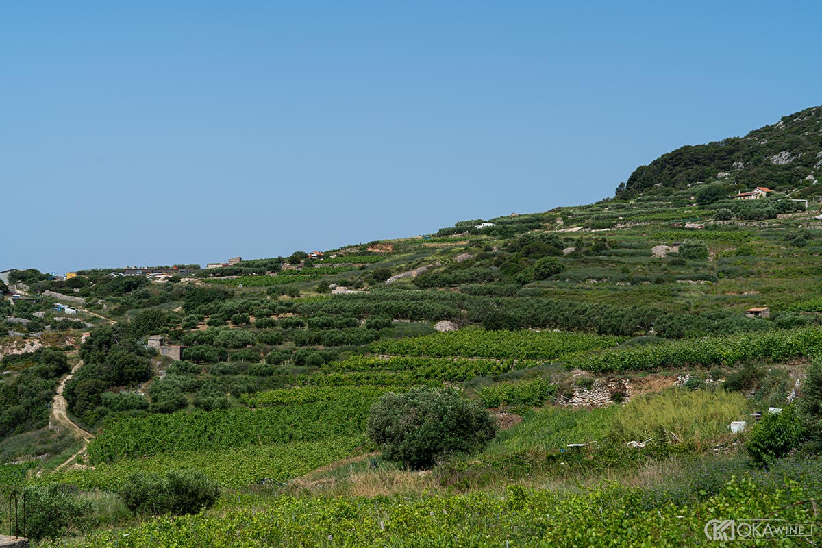 Các quốc gia sản xuất rượu vang ngọt nổi bật