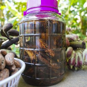 Cách ngâm rượu chuối hột