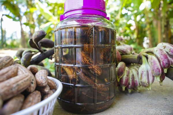 Cách ngâm rượu chuối hột