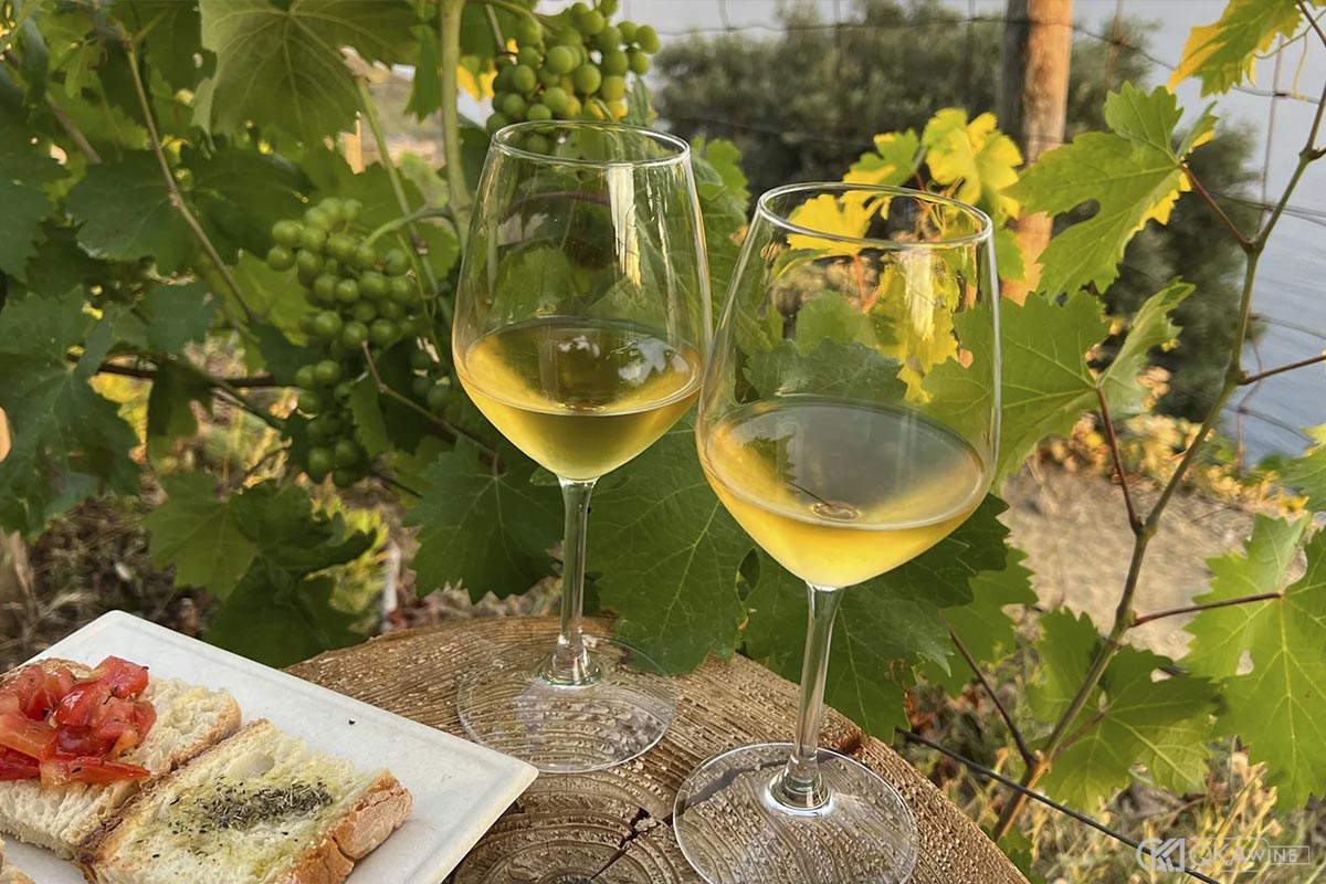 Cách thưởng thức rượu vang Airén