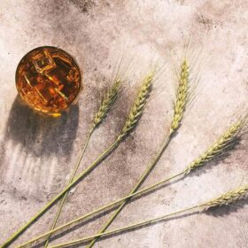 Ngũ cốc trong whiskey Mỹ