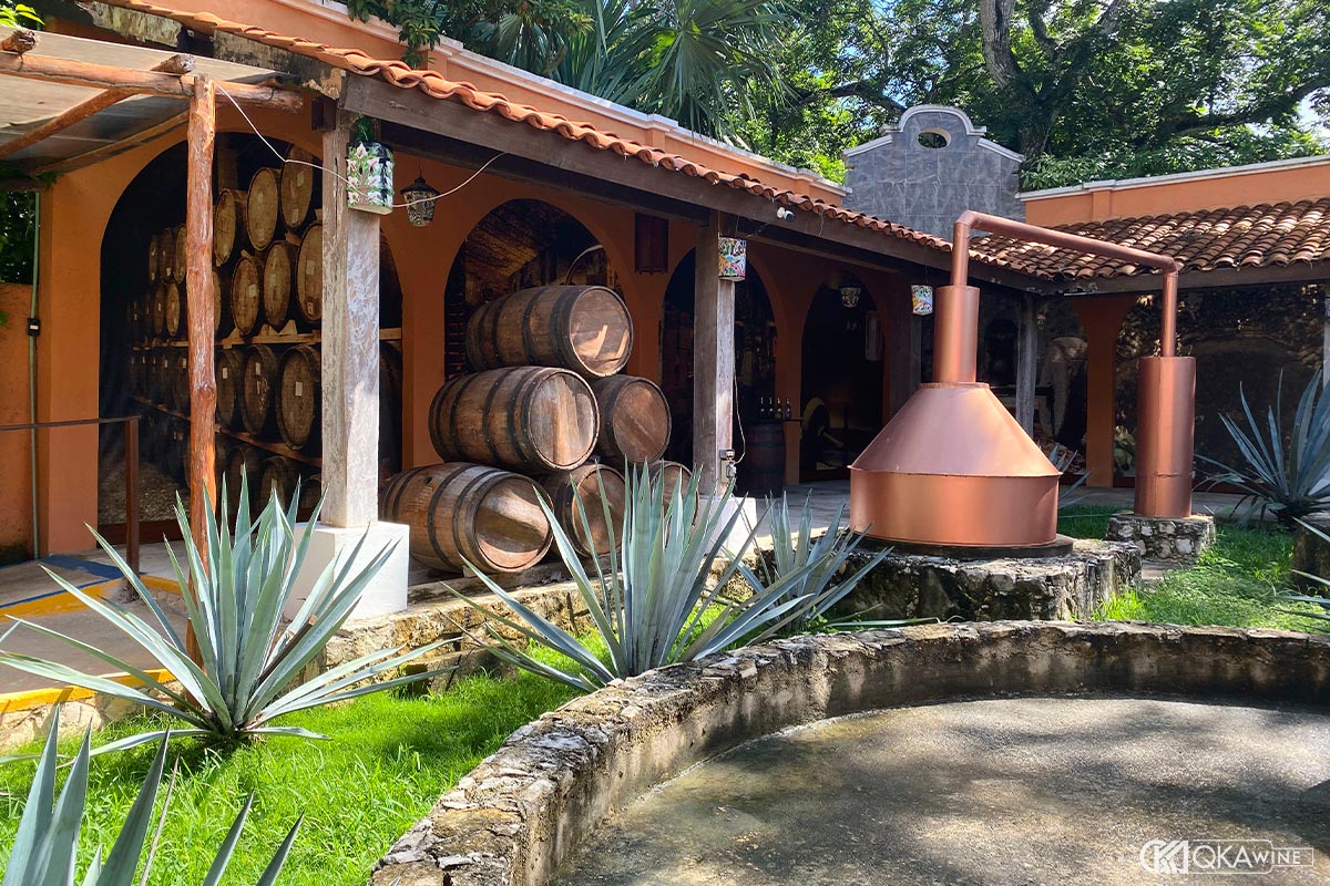 Nguồn gốc và hành trình lịch sử của Mezcal