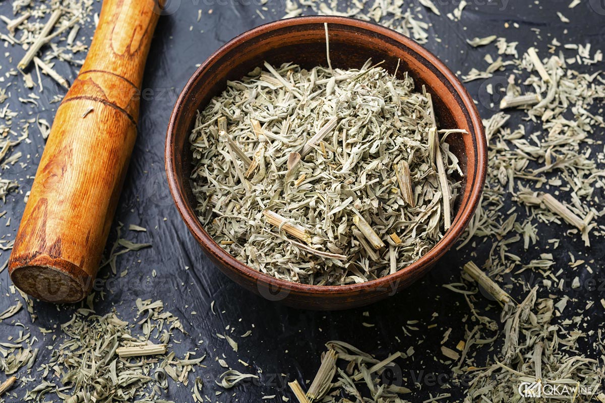 Thujone: Hoạt chất bị hiểu lầm trong rượu Absinthe