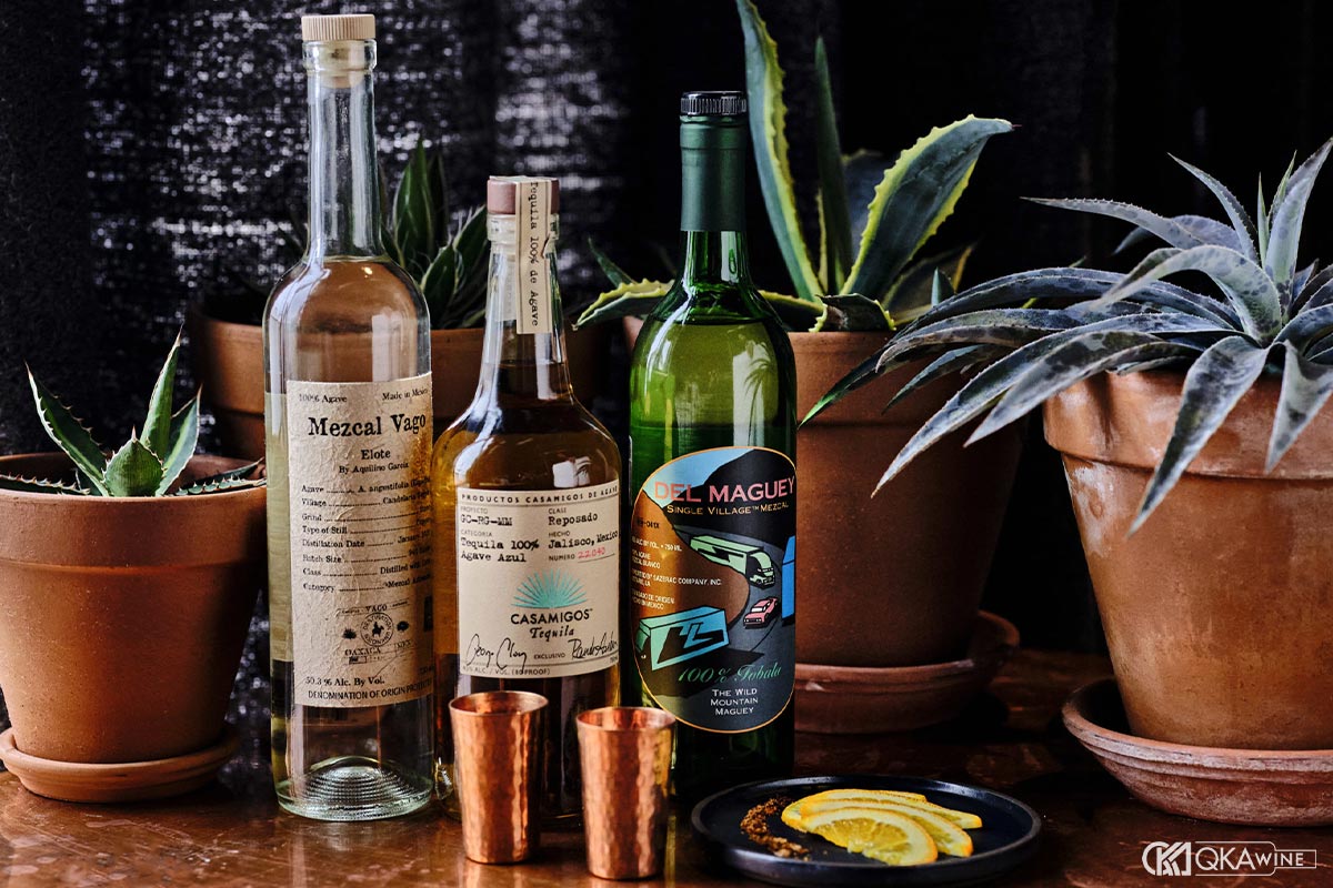 Vai trò của cây Agave trong hương vị và chất lượng rượu Mezcal