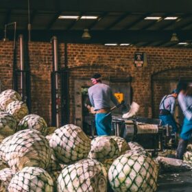 Vì sao Mezcal được gọi là linh hồn của Mexico?