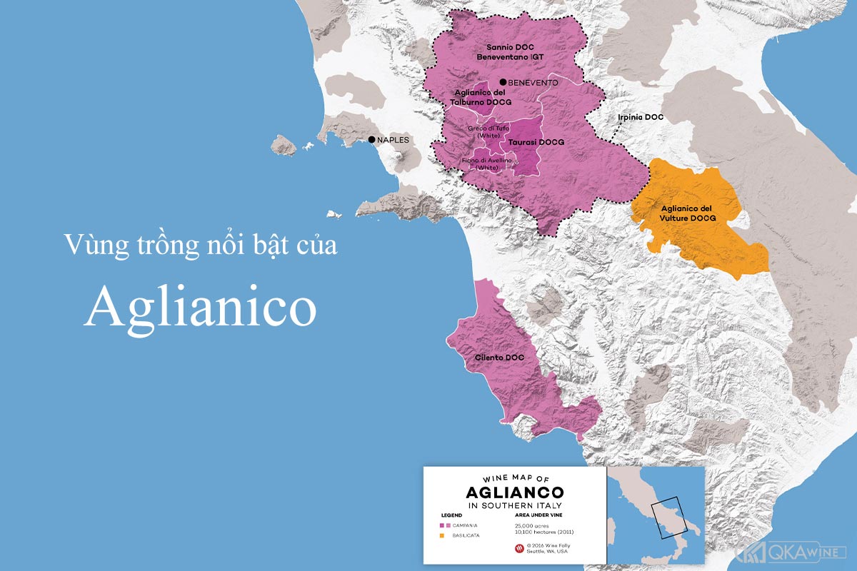 Vùng trồng nho Aglianico nổi bật