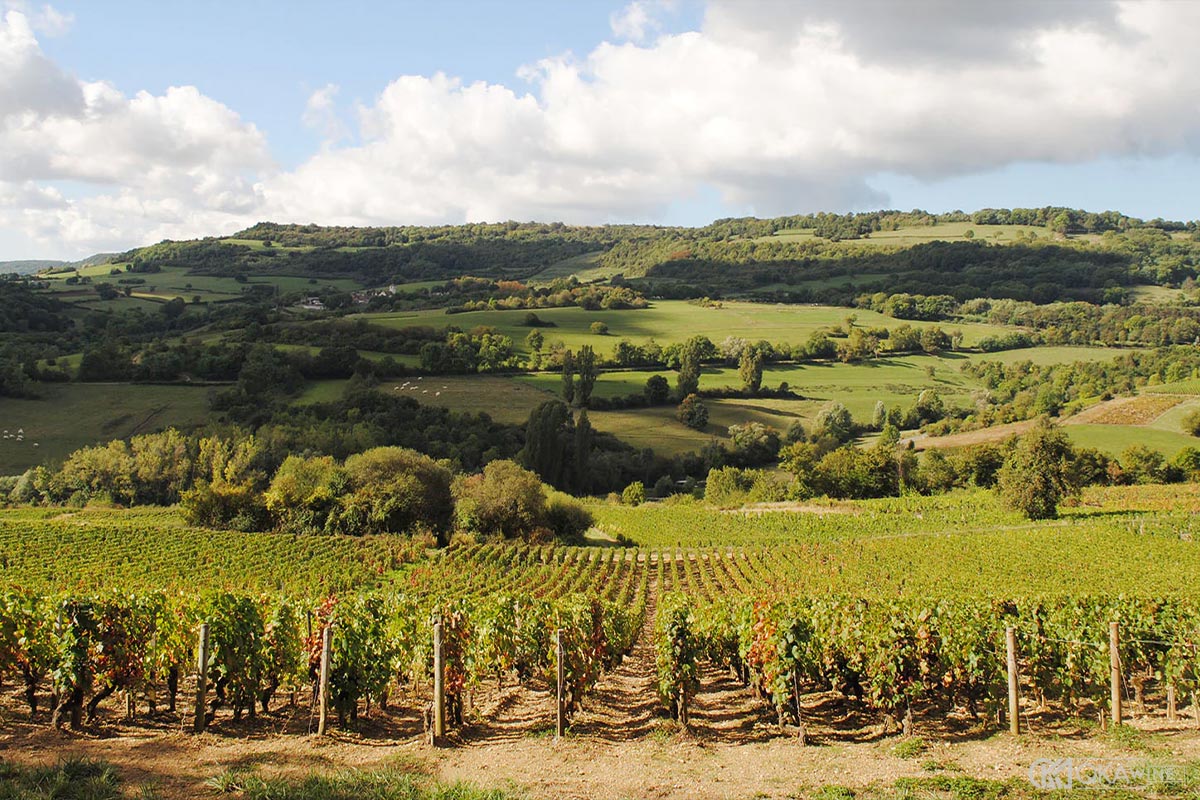 Vùng vang Burgundy