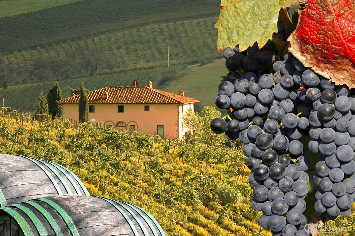 Vùng vang Tuscany