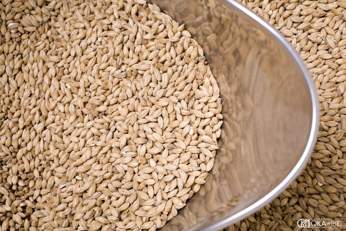 Ảnh hưởng của khí hậu và phương pháp rang sấy malt